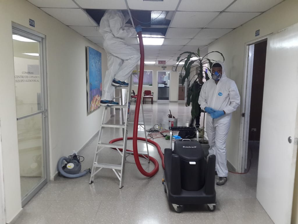 whatsapp image 2026 02 05 at 15.30.20 (1)